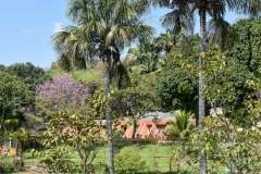 B.-CALDAS-1126