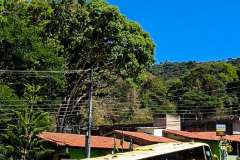 B.-CALDAS-1392